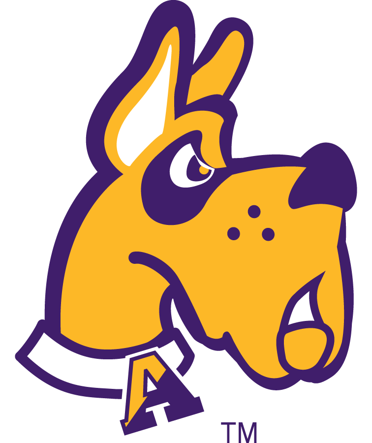 Albany Great Danes 2001-2007 Alternate Logo 02 iron on paper